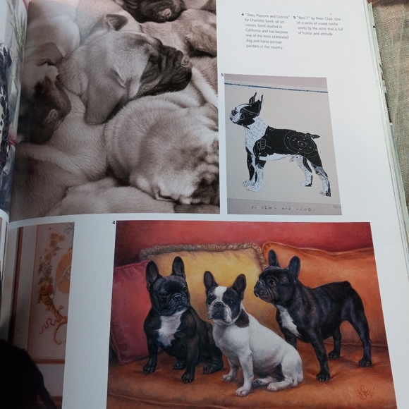 Book. The New Decorating with Pictures - Picture 8 of 16